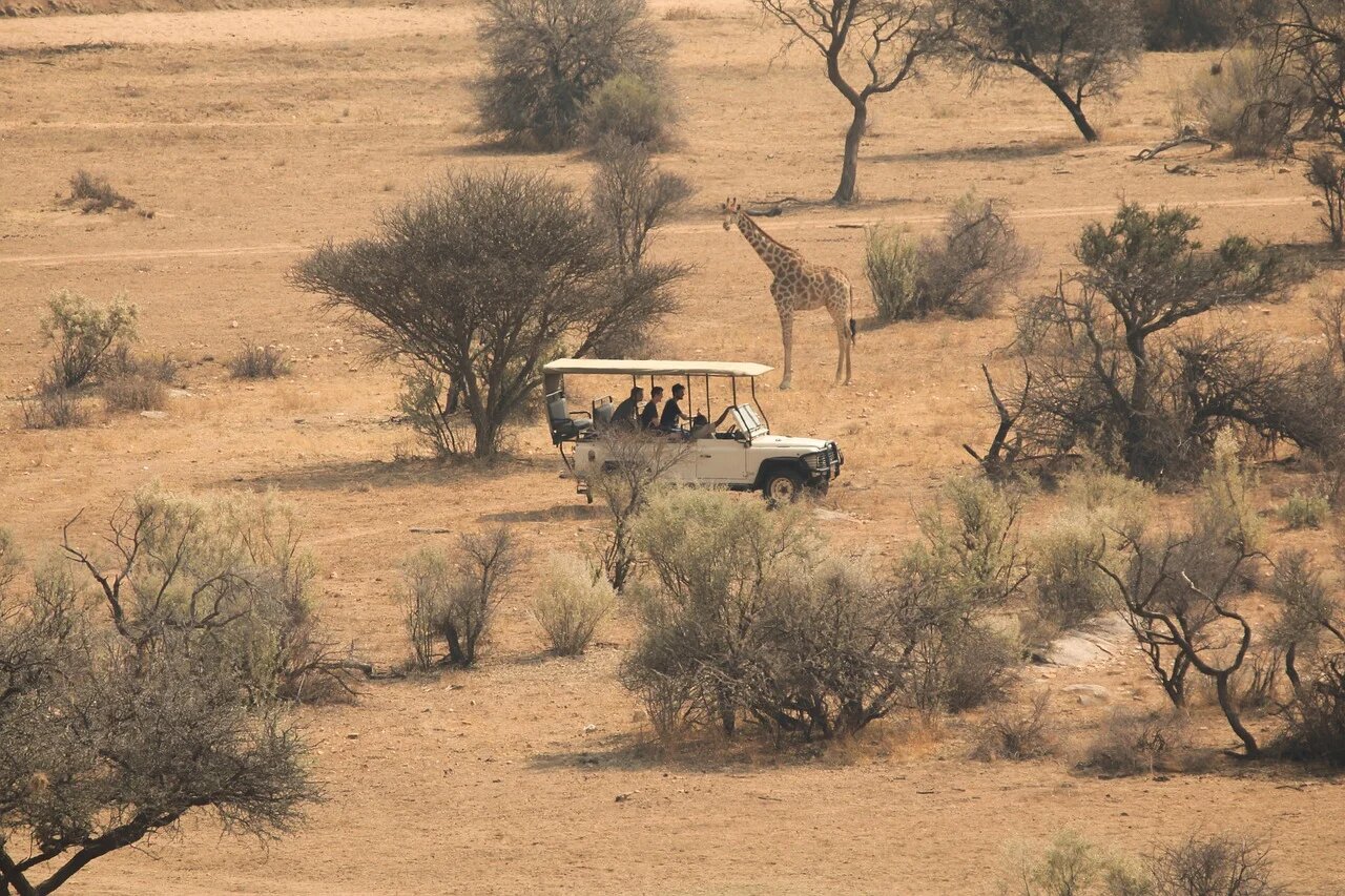 Voyage en Afrique du Sud : le meilleur moment pour partir en famille