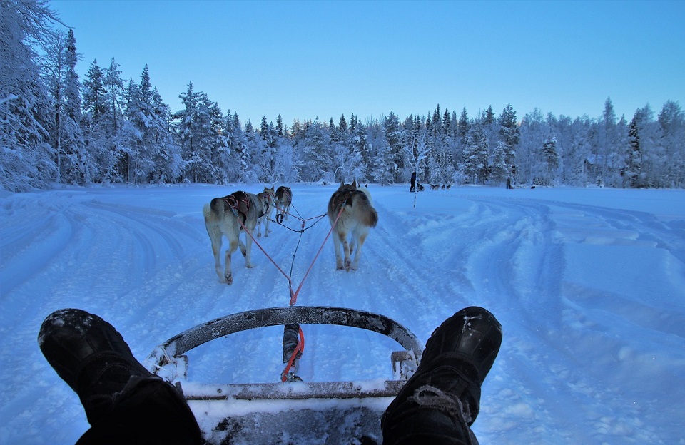 Voyage en Laponie : les meilleures aventures hivernales à vivre